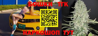 мдпв Майкоп