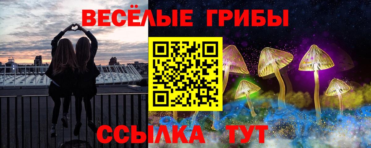 Великий Устюг  Псилоцибиновые грибы прущие грибы  Псилоцибиновые грибы Cubensis  Вход с VPN 